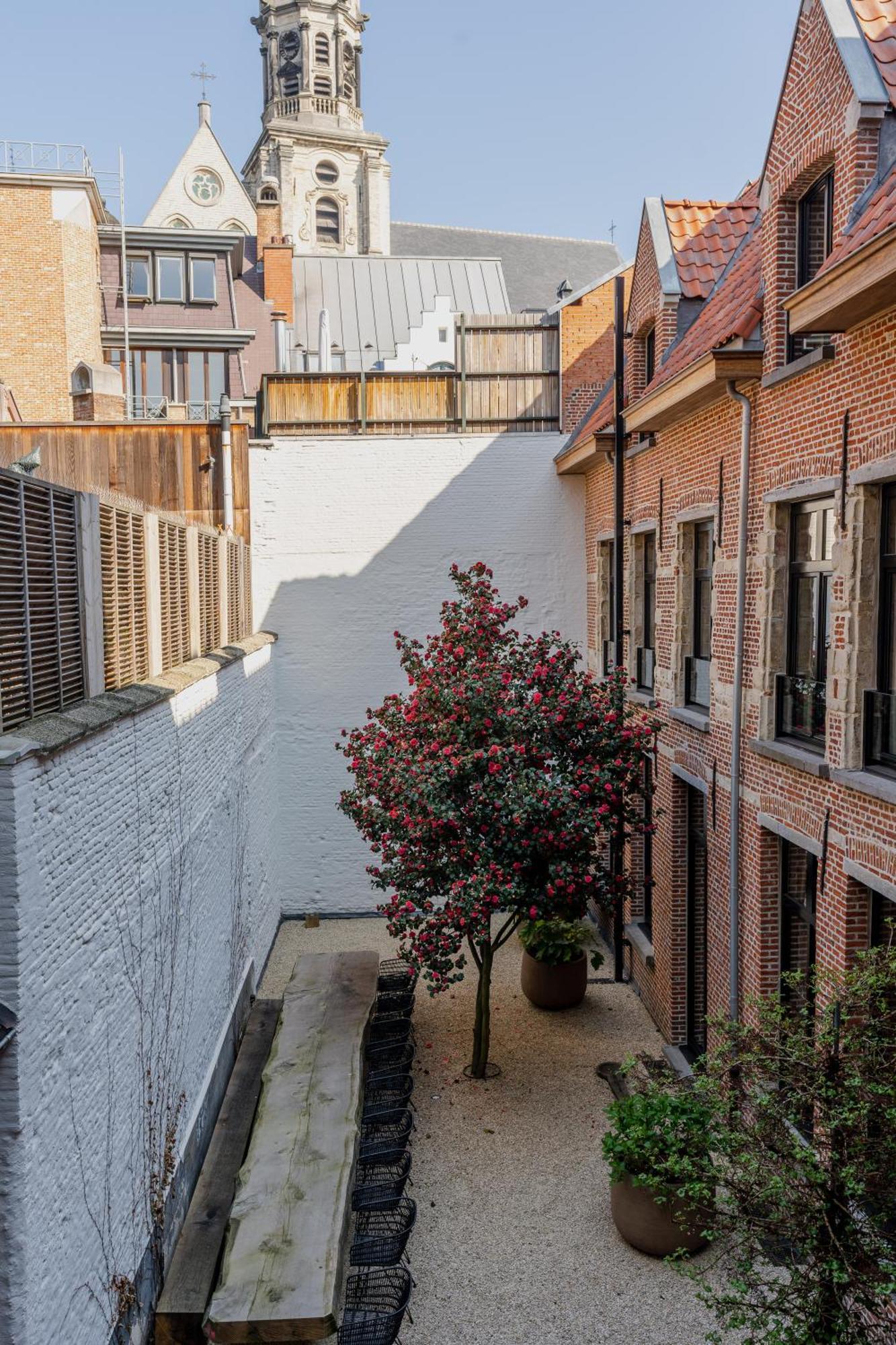 Btfl Living Antwerp Lägenhet Exteriör bild