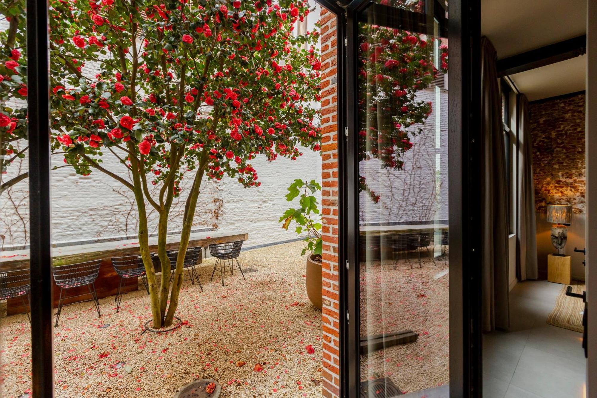 Btfl Living Antwerp Lägenhet Exteriör bild